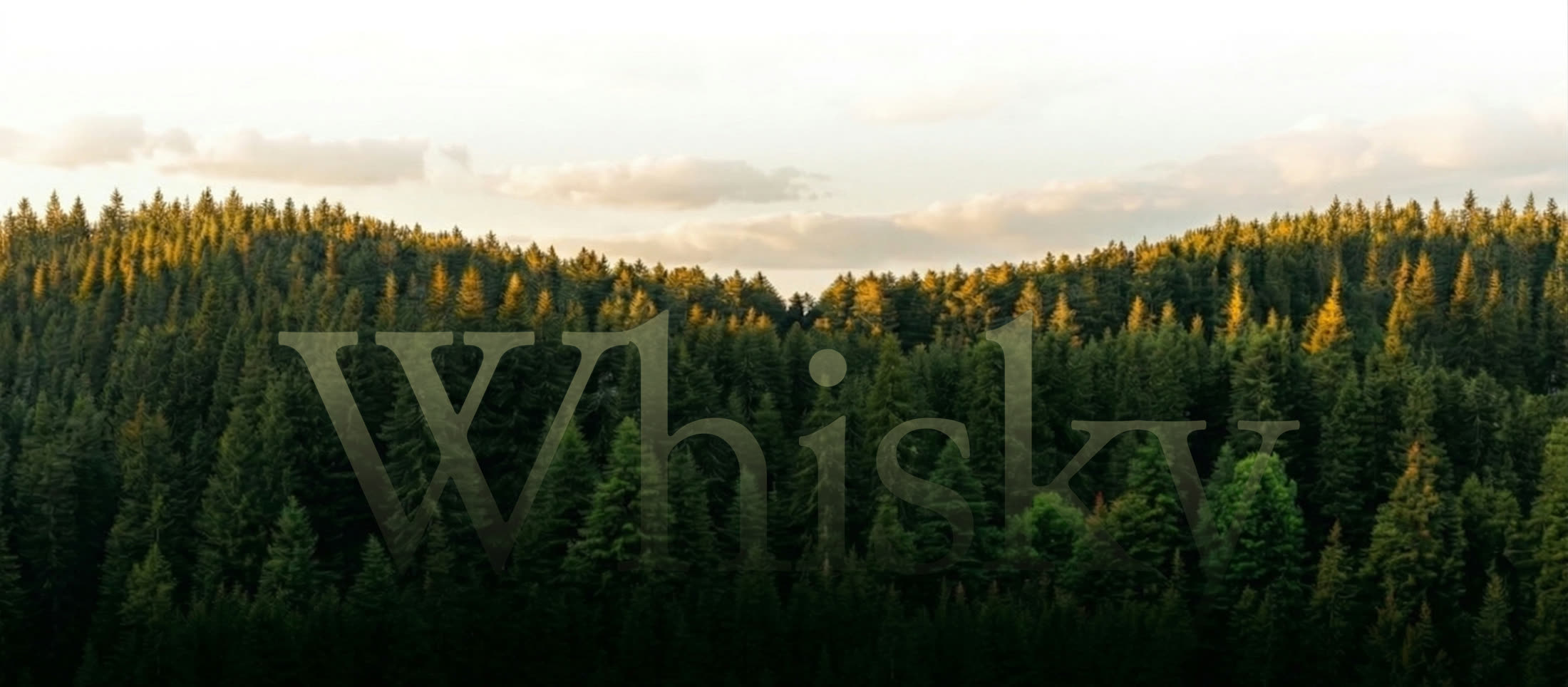 Whisky outdoors in a wide scenic landscape