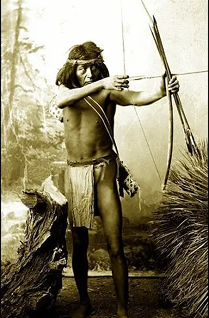 Historical scene of waterfowl hunting near the shore