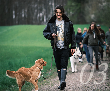 Whisky training with people and other dogs outdoors